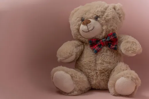 toy