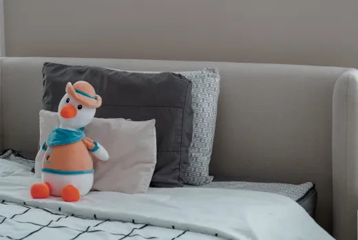 toy